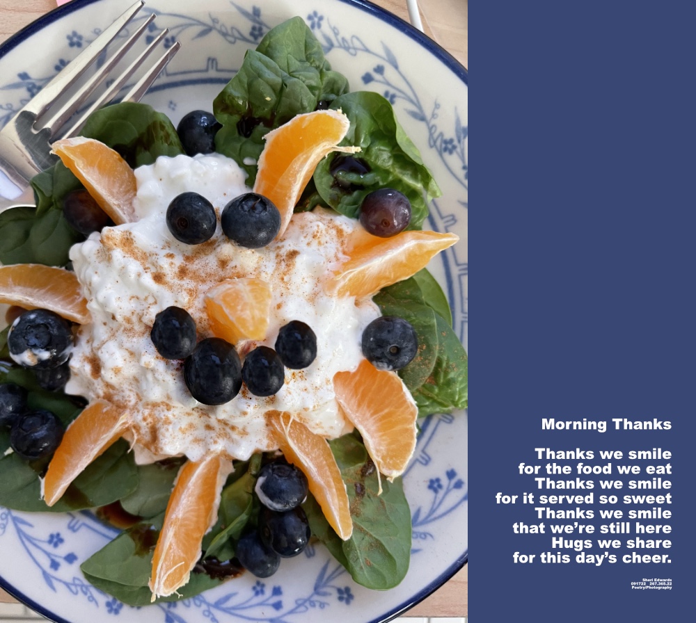 a smiling food face of blueberries on top of cottage cheese and a bed of spinach all surrounded by tangerine slices, also the nose.