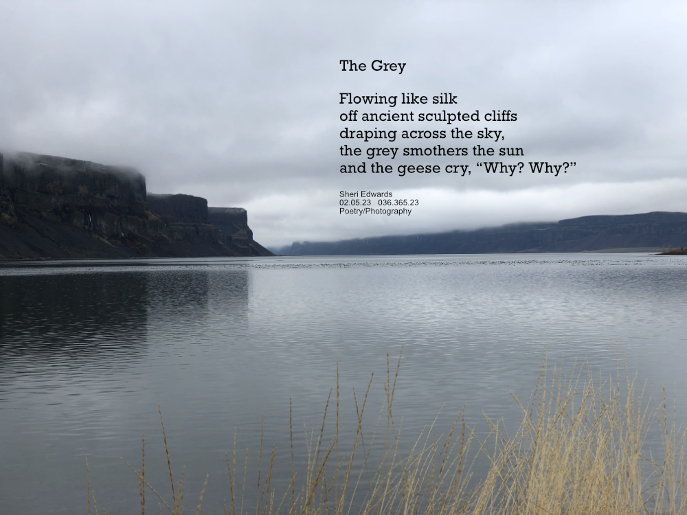 Fog rolls off the basalt cliffs of the Grand Coulee in Banks Lake, WA on a January winter day