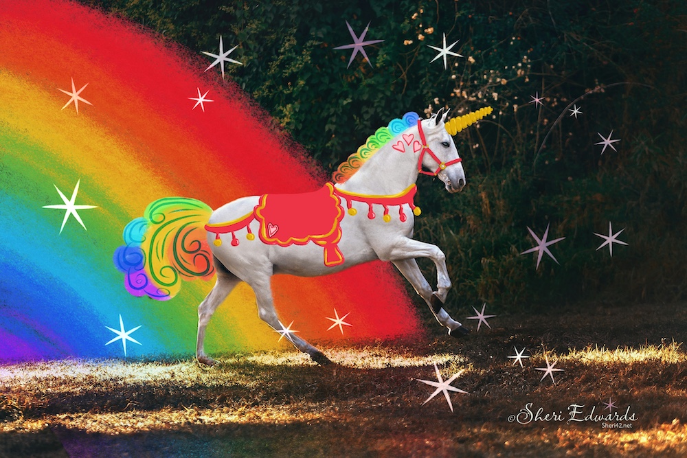 Photo doodle: horse becomes unicorn with colorful gear with a rainbow / heart theme standing in front of a rainbow