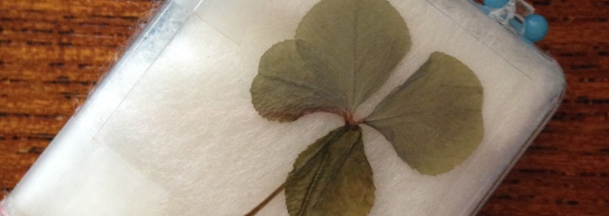 Four leaf clover found in my backyard in the 1960s