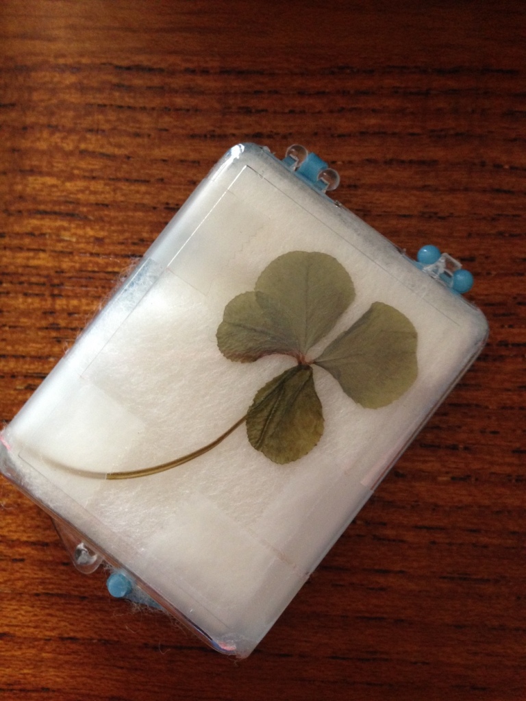 Four leaf clover I found in the backyard of my home in Bismarck, ND in the 1960s