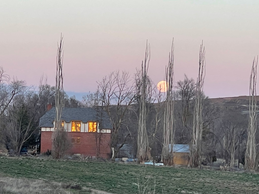 driving  through Stratford, WA on the way home, the full moon gave us this view