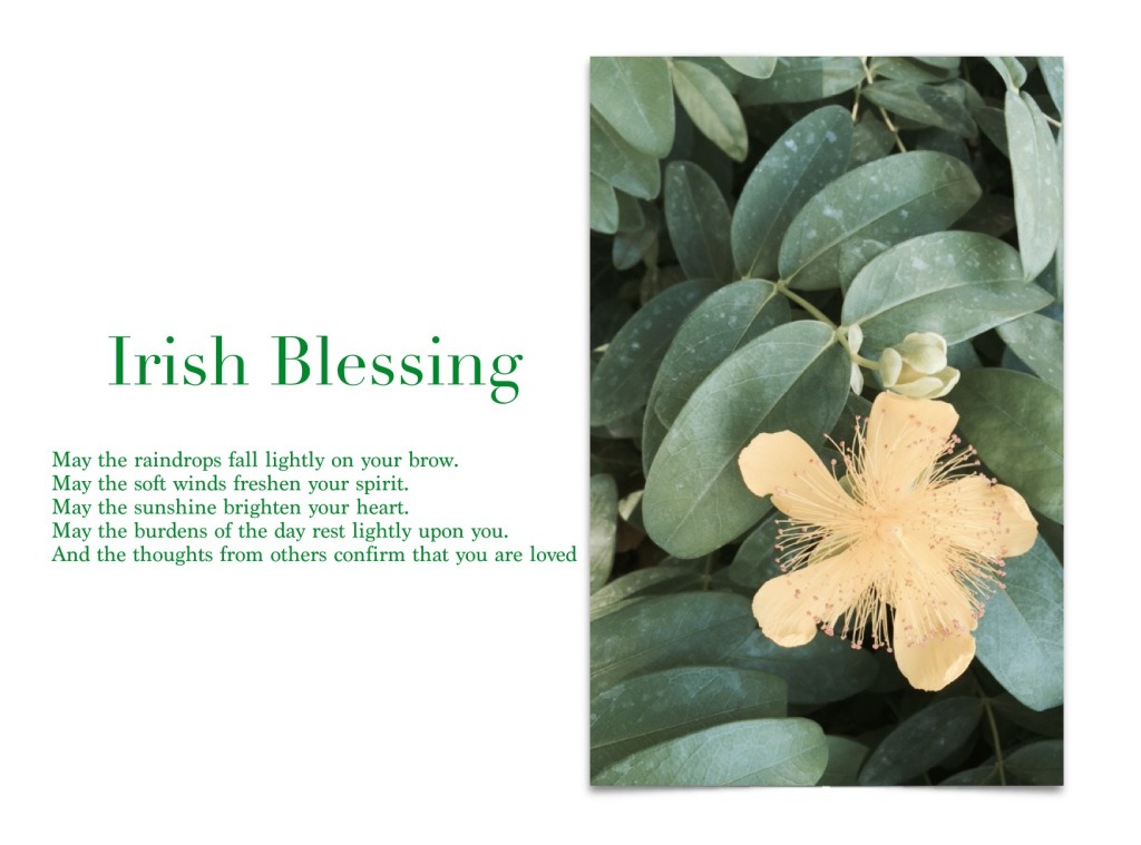 a revised Irish Blessing with some yellow/green ground cover