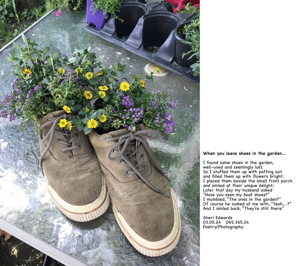 flowers planted in a pair of shoes and poem