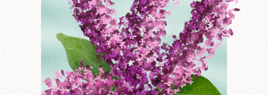 Thinking of you lilac bouquet by Sheri42; digital watercolor