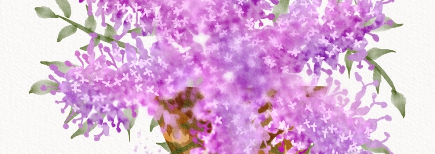 watercolor lilac bouquet